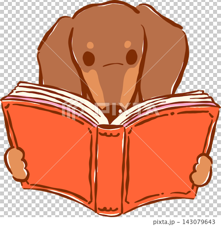 Cute Brown Dachshund Bookish Reading Book Hand Drawn Illustration Cute Brown Dachshund Bookish Reading Book Hand Drawn Illustration 143079643