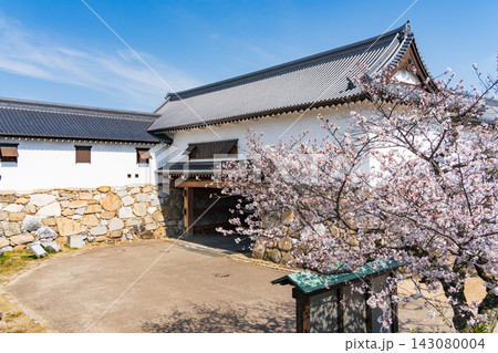 春の愛媛県今治市・今治城と美しい桜の風景 春の愛媛県今治市・今治城と美しい桜の風景 143080004
