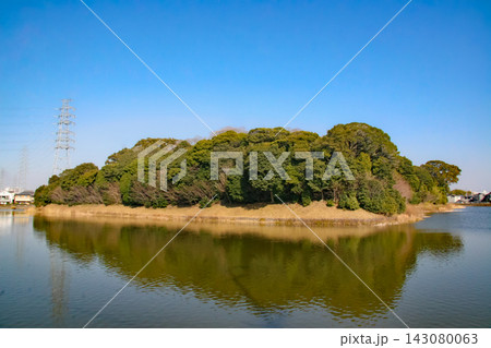 堺・御廟山古墳 堺・御廟山古墳 143080063