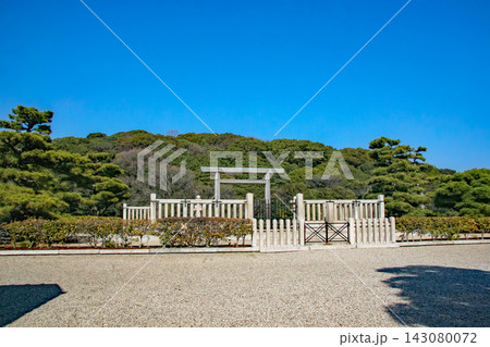堺・上石津ミサンザイ古墳(履中天皇陵) 堺・上石津ミサンザイ古墳(履中天皇陵) 143080072