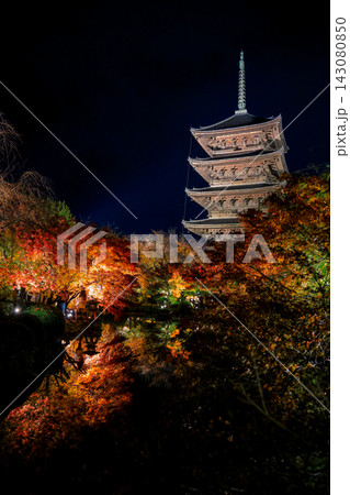Nov 25 2025 Illuminated Pagoda and Autumn Maples Reflect in Pond 143080850