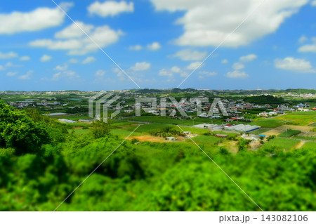 沖縄県八重瀬町の風景　チルトシフト撮影 143082106