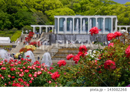 20260518須磨離宮公園 143082268