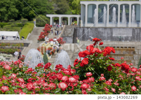 20260518須磨離宮公園 143082269