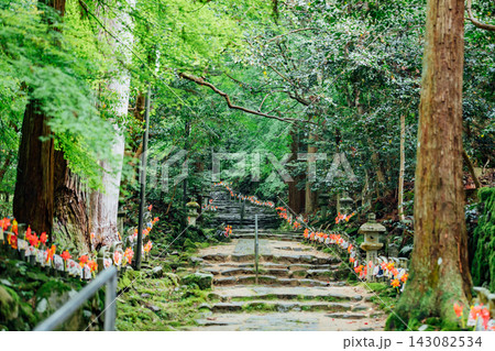 【滋賀県東近江市】金剛輪寺 千体地蔵が並ぶ参道と新緑 【滋賀県東近江市】金剛輪寺 千体地蔵が並ぶ参道と新緑 143082534