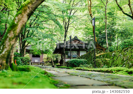 【滋賀県東近江市】金剛輪寺 新緑に囲まれた参道 【滋賀県東近江市】金剛輪寺 新緑に囲まれた参道 143082550