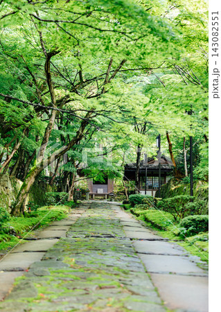 【滋賀県東近江市】金剛輪寺 新緑に囲まれた参道 【滋賀県東近江市】金剛輪寺 新緑に囲まれた参道 143082551