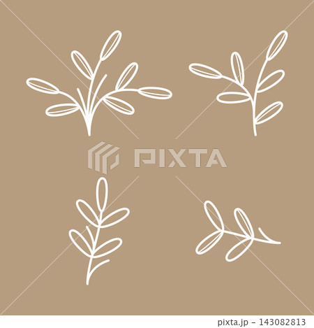 Simple botanical leaf element illustration 143082813