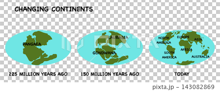 Geological diagram illustrating continental drift theory and plate tectonics timeline, showcasing the breakup of supercontinent Pangaea into Laurasia, Gondwana, and modern landmasses 143082869