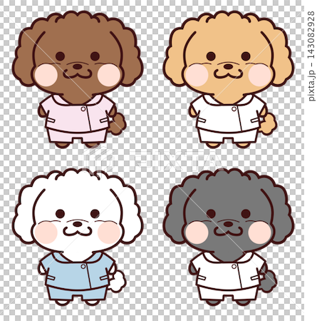 穿著護士服的玩具貴賓犬 穿著護士服的玩具貴賓犬 143082928