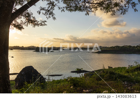 Scenic lake sunset with tree frame 143083613