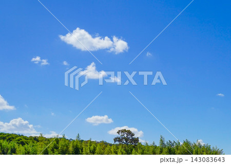緑の丘の上に小さな白い雲が浮かぶ夏の青空 緑の丘の上に小さな白い雲が浮かぶ夏の青空 143083643