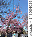 青空と桜 143084026