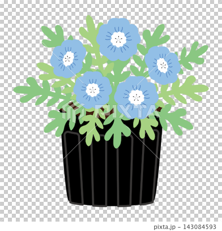 簡單的藍色花苗,花苗 簡單的藍色花苗,花苗 143084593