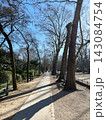 Luxembourg Garden in Paris with tree lined walking path and benches. High quality photo 143084754
