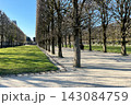 Luxembourg Garden in Paris with tree lined walking path and benches. High quality photo 143084759