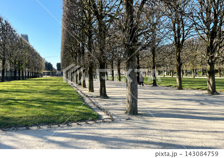 Luxembourg Garden in Paris with tree lined walking path and benches. High quality photo Luxembourg Garden in Paris with tree lined walking path and benches. High quality photo 143084759