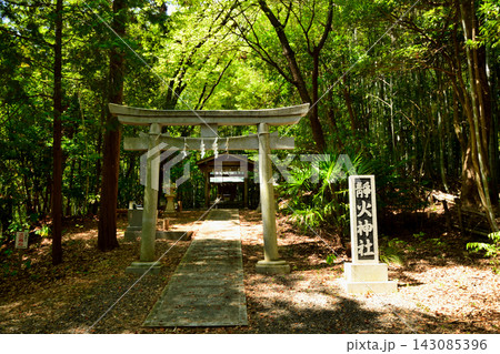 靜火神社  【和歌山県和歌山市】 143085396