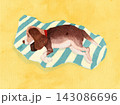 Sleeping Basset Hound Puppy on Striped Blanket Watercolor Illustration 143086696
