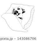 Dog Wrapped in Blanket Black and White Line Art Illustration 143086706