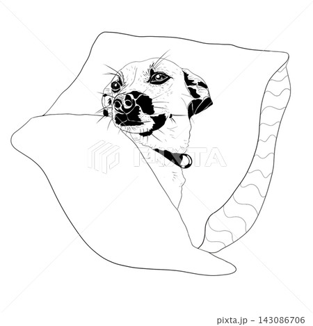 Dog Wrapped in Blanket Black and White Line Art Illustration 143086706