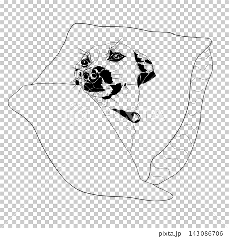 Dog Wrapped in Blanket Black and White Line Art Illustration 143086706