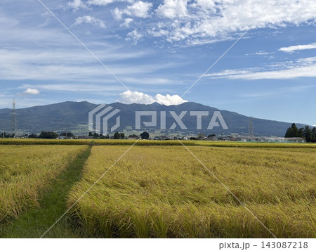 秋の田んぼから望む磐梯山 秋の田んぼから望む磐梯山 143087218