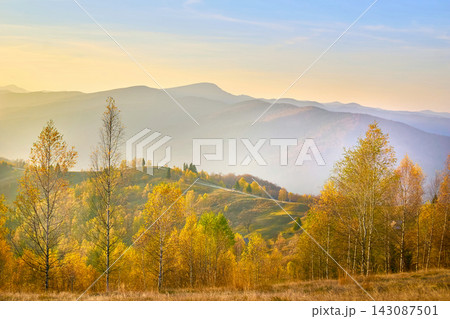 Golden tranquil autumn in mountains in sunny rays Golden tranquil autumn in mountains in sunny rays 143087501
