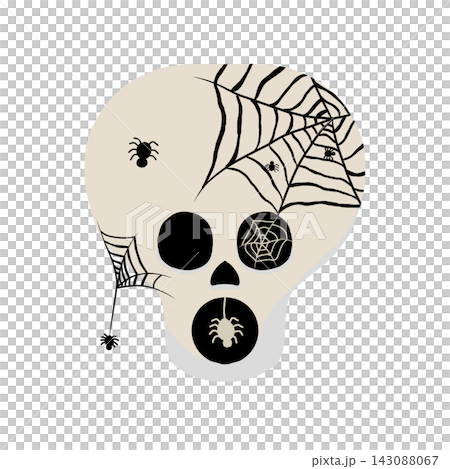 Beige skull with spider web and spiders decoration 143088067