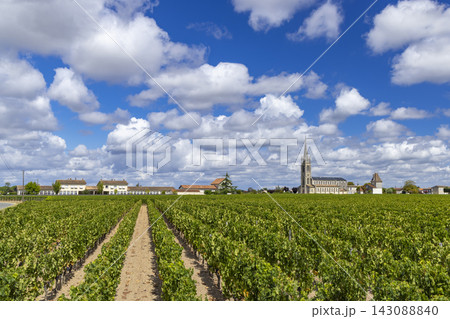 Typical vineyards near Pomerol, Aquitaine, France 143088840