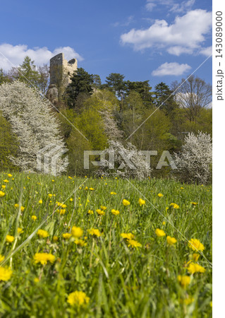 Valecov castle ruins, Middle Bohemia, Czech Republic 143089000