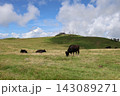 青空と雲が広がる高原牧場で草を食む放牧牛の風景 143089271