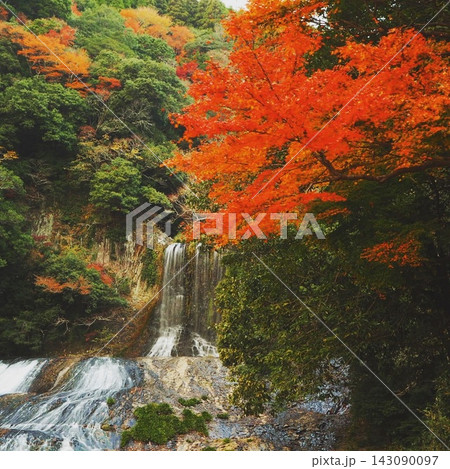 真っ赤なもみじと龍門の滝 大分県九重町の渓谷 真っ赤なもみじと龍門の滝 大分県九重町の渓谷 143090097