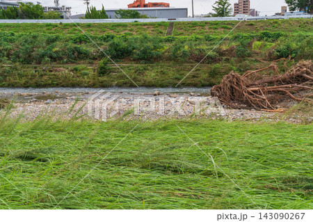 矢田川、記録的短時間大雨の爪痕〈愛知県名古屋市〉 矢田川、記録的短時間大雨の爪痕〈愛知県名古屋市〉 143090267