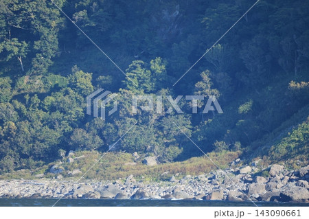 世界自然遺産知床をクルーズ船より撮影した自然風景（shiretoko) 143090661