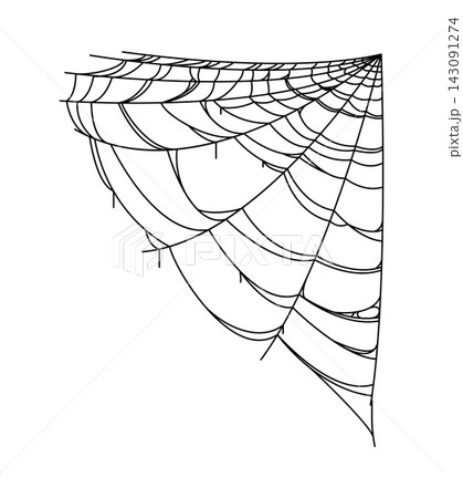 Halloween cartoon spooky cobweb, spiderweb thread. Horror party hanging spiderweb net, fall season holiday spooky old cobweb vector thread. Autumn celebration stretching spider web decor element Halloween cartoon spooky cobweb, spiderweb thread. Horror party hanging spiderweb net, fall season holiday spooky old cobweb vector thread. Autumn celebration stretching spider web decor element 143091274
