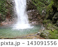 緑豊かな森の滝壺と滝 143091556
