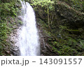 緑豊かな森の滝 143091557