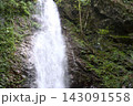 緑豊かな森の力強い滝 143091558