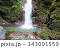 緑豊かな滝と渓谷 143091559