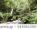 緑豊かな森の滝と苔の橋 143091560