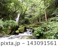 森の滝と苔むした橋と渓流 143091561