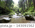 渓流と深い森 143091562