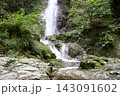 緑豊かな森の滝と苔むした岩 143091602
