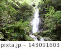 新緑と滝の自然風景 143091603