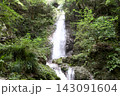 緑豊かな森の滝 143091604