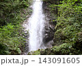 緑豊かな森の滝 143091605
