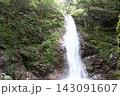 日本の緑豊かな滝 143091607