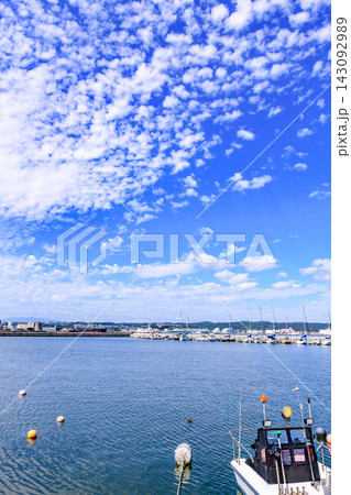 宮城 七ヶ浜より松島湾を望む 宮城 七ヶ浜より松島湾を望む 143092989