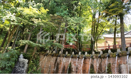 新緑に包まれた参道と滝 新緑に包まれた参道と滝 143093102